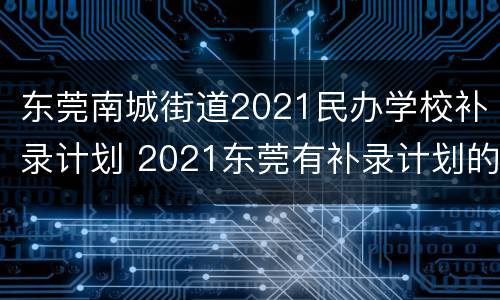 东莞南城街道2021民办学校补录计划 2021东莞有补录计划的学校