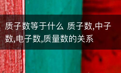 质子数等于什么 质子数,中子数,电子数,质量数的关系