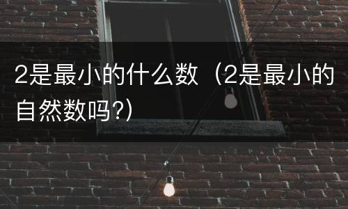 2是最小的什么数（2是最小的自然数吗?）