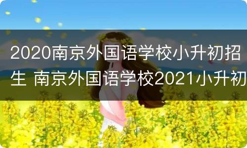 2020南京外国语学校小升初招生 南京外国语学校2021小升初