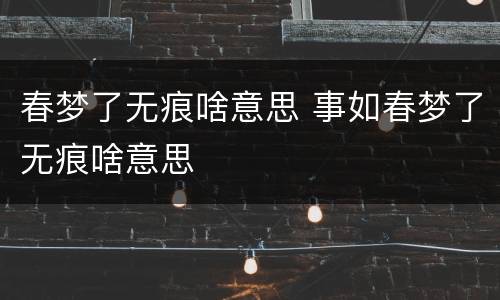春梦了无痕啥意思 事如春梦了无痕啥意思
