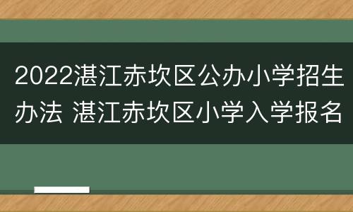 2022湛江赤坎区公办小学招生办法 湛江赤坎区小学入学报名条件