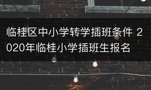 临桂区中小学转学插班条件 2020年临桂小学插班生报名