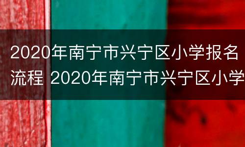 2020年南宁市兴宁区小学报名流程 2020年南宁市兴宁区小学地段