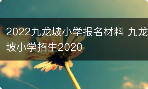 2022九龙坡小学报名材料 九龙坡小学招生2020