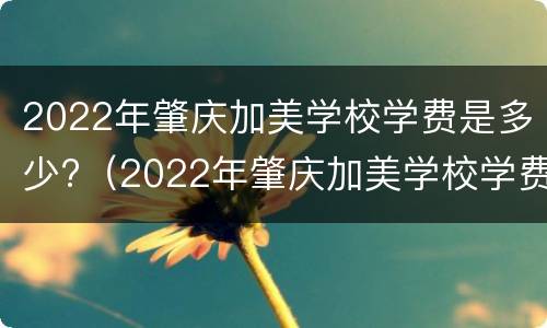2022年肇庆加美学校学费是多少?（2022年肇庆加美学校学费是多少呢）