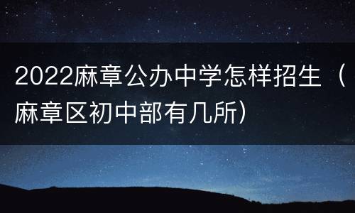 2022麻章公办中学怎样招生（麻章区初中部有几所）