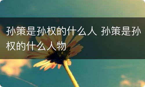 孙策是孙权的什么人 孙策是孙权的什么人物