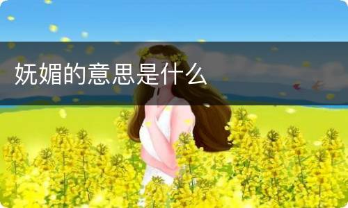 妩媚的意思是什么