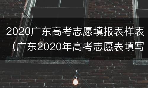 2020广东高考志愿填报表样表（广东2020年高考志愿表填写样本）