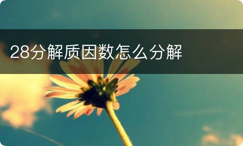 28分解质因数怎么分解