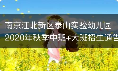 南京江北新区泰山实验幼儿园2020年秋季中班+大班招生通告