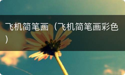 飞机简笔画（飞机简笔画彩色）