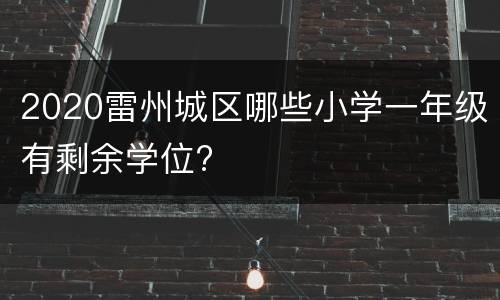 2020雷州城区哪些小学一年级有剩余学位?