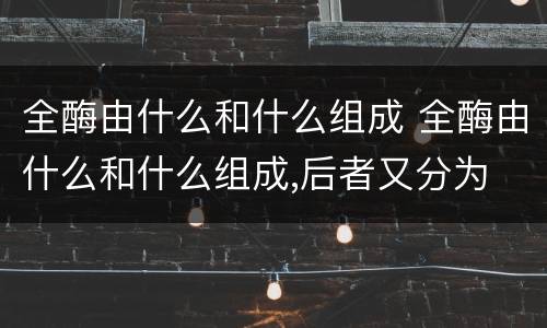 全酶由什么和什么组成 全酶由什么和什么组成,后者又分为