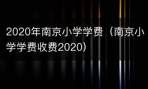 2020年南京小学学费（南京小学学费收费2020）