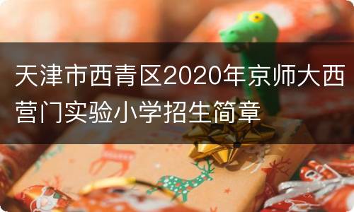 天津市西青区2020年京师大西营门实验小学招生简章
