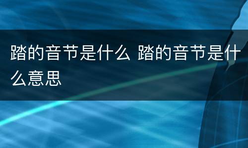 踏的音节是什么 踏的音节是什么意思