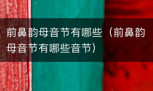 前鼻韵母音节有哪些（前鼻韵母音节有哪些音节）
