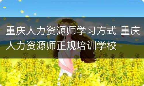 重庆人力资源师学习方式 重庆人力资源师正规培训学校