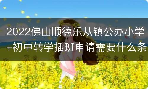 2022佛山顺德乐从镇公办小学+初中转学插班申请需要什么条件