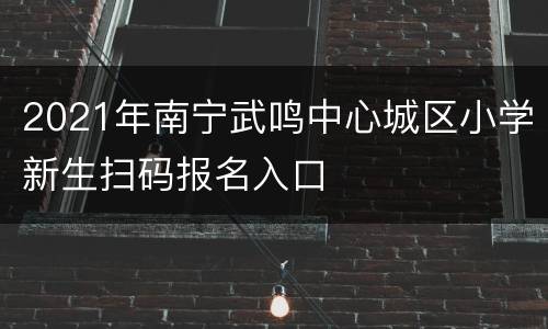 2021年南宁武鸣中心城区小学新生扫码报名入口