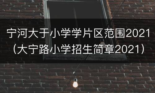 宁河大于小学学片区范围2021（大宁路小学招生简章2021）