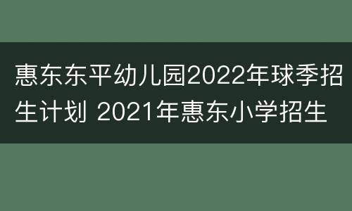 惠东东平幼儿园2022年球季招生计划 2021年惠东小学招生