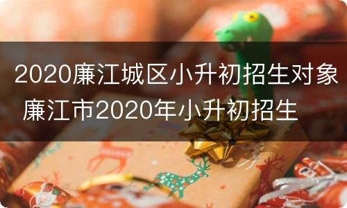 2020廉江城区小升初招生对象 廉江市2020年小升初招生