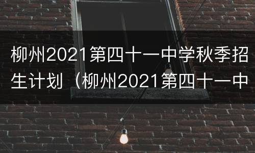柳州2021第四十一中学秋季招生计划（柳州2021第四十一中学秋季招生计划表）