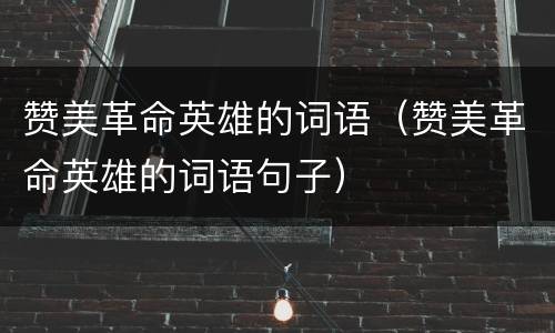 赞美革命英雄的词语（赞美革命英雄的词语句子）