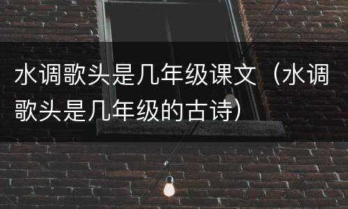 水调歌头是几年级课文（水调歌头是几年级的古诗）