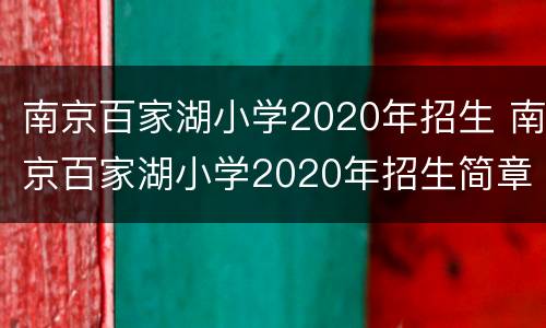 南京百家湖小学2020年招生 南京百家湖小学2020年招生简章