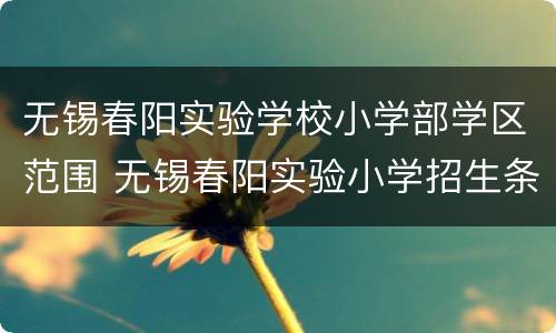 无锡春阳实验学校小学部学区范围 无锡春阳实验小学招生条件公布吗