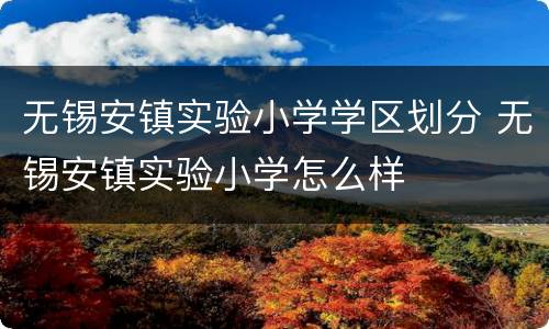 无锡安镇实验小学学区划分 无锡安镇实验小学怎么样