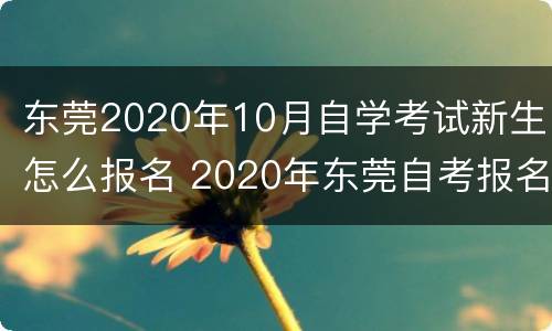 东莞2020年10月自学考试新生怎么报名 2020年东莞自考报名点