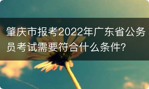 肇庆市报考2022年广东省公务员考试需要符合什么条件？