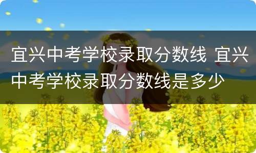 宜兴中考学校录取分数线 宜兴中考学校录取分数线是多少