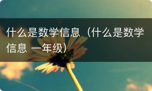 什么是数学信息（什么是数学信息 一年级）