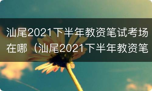 汕尾2021下半年教资笔试考场在哪（汕尾2021下半年教资笔试考场在哪考）