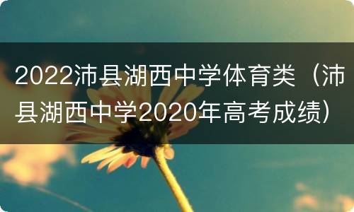 2022沛县湖西中学体育类（沛县湖西中学2020年高考成绩）