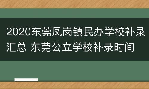 2020东莞凤岗镇民办学校补录汇总 东莞公立学校补录时间