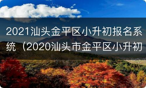 2021汕头金平区小升初报名系统（2020汕头市金平区小升初对应学校）