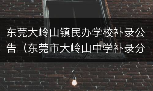 东莞大岭山镇民办学校补录公告（东莞市大岭山中学补录分数线）