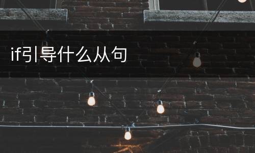 if引导什么从句