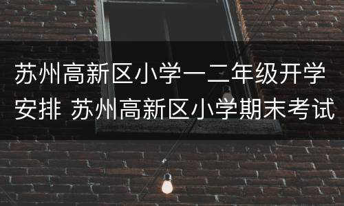 苏州高新区小学一二年级开学安排 苏州高新区小学期末考试时间