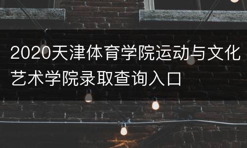 2020天津体育学院运动与文化艺术学院录取查询入口