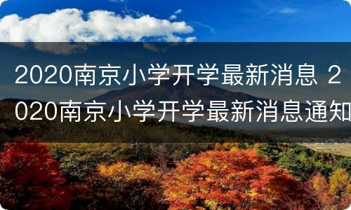 2020南京小学开学最新消息 2020南京小学开学最新消息通知