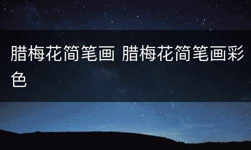 腊梅花简笔画 腊梅花简笔画彩色