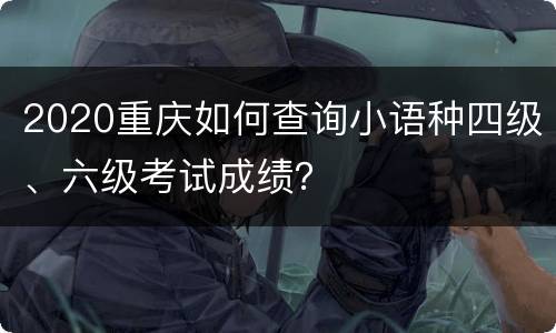 2020重庆如何查询小语种四级、六级考试成绩？